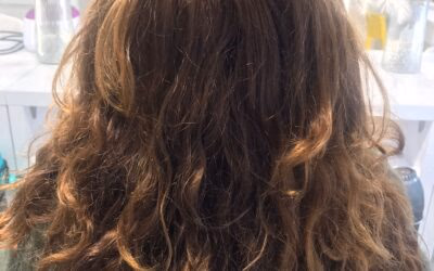 ¿Qué tratamiento es recomendable para el cabello seco y maltratado y cómo hidratar el cabello seco en casa?